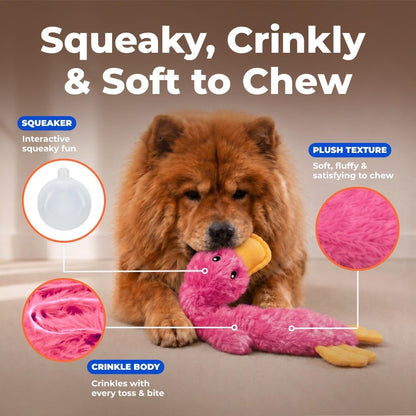 Furvoro PinkyCrinkle Duck Dog Toy, Stuffing Free Squeaky Plush Toy for Small, Medium and Large Dogs, Interactive Crinkle Toy for Play and Fetch