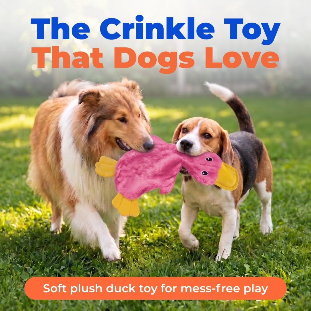 Furvoro PinkyCrinkle Duck Dog Toy, Stuffing Free Squeaky Plush Toy for Small, Medium and Large Dogs, Interactive Crinkle Toy for Play and Fetch